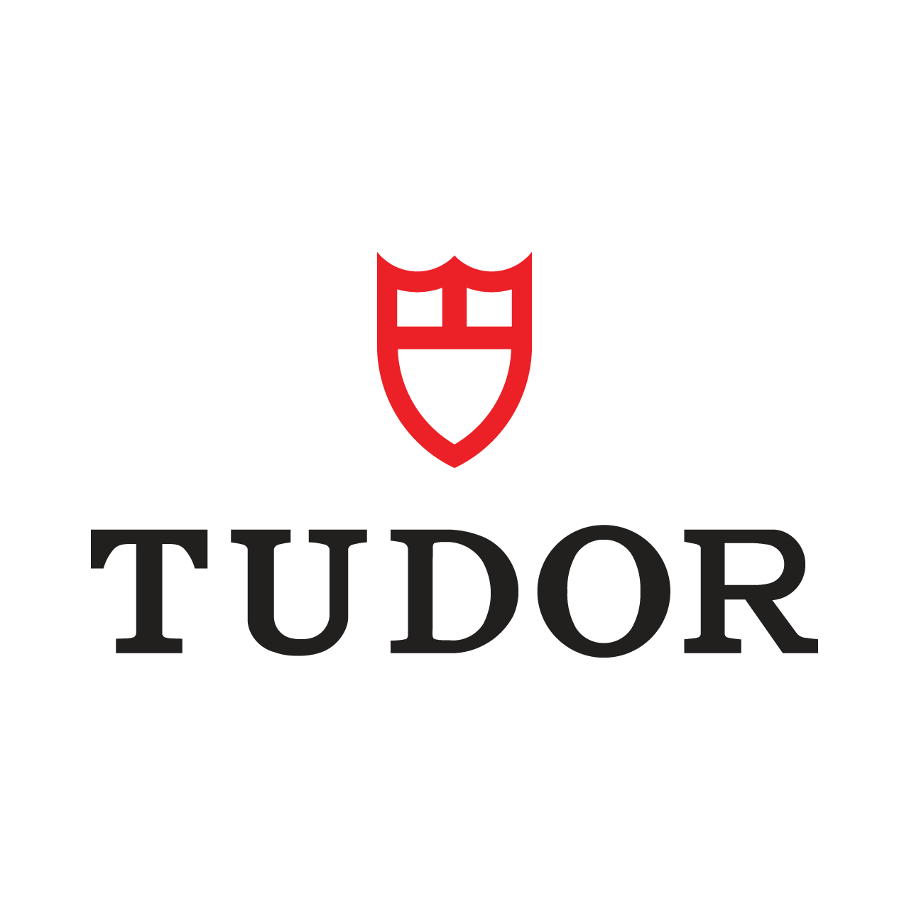 Tudor Watch Protection