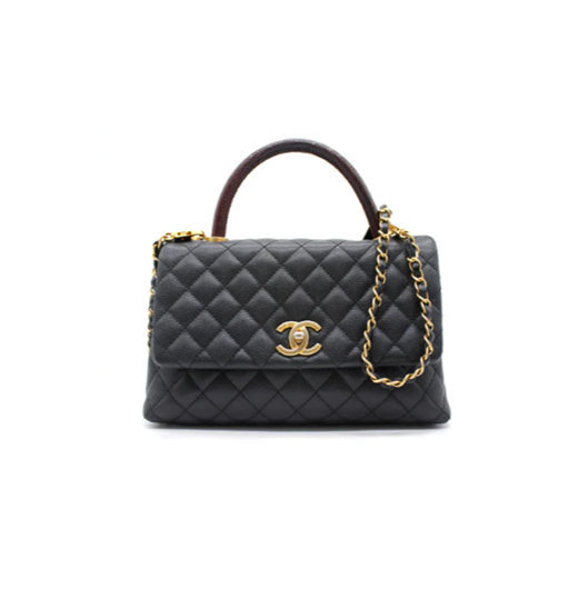 Protection for Chanel Coco Handle