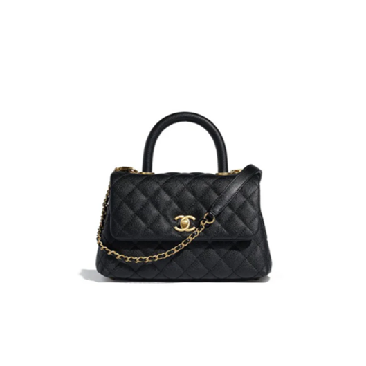 Protection for Chanel Coco Handle