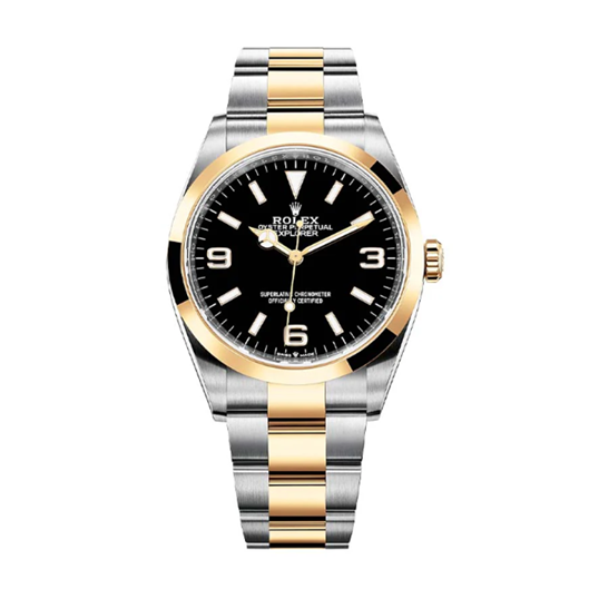 Protection for Rolex Explorer