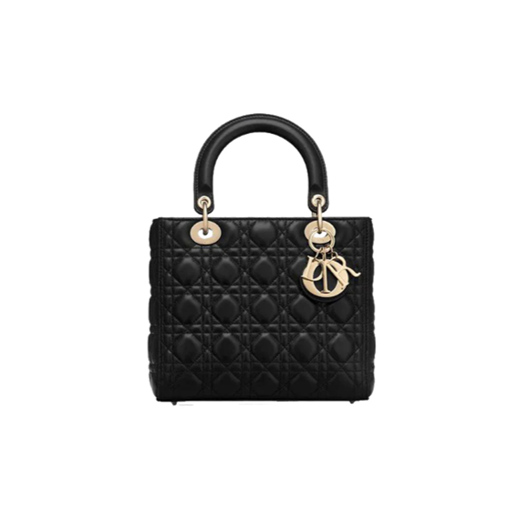 Protection for Lady Dior