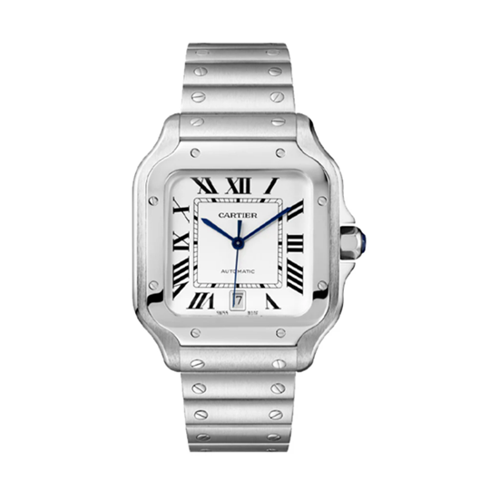 Protection for Cartier Santos De Cartier