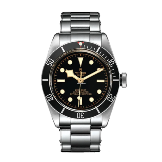 Protection for Tudor BlackBay 41mm 79230