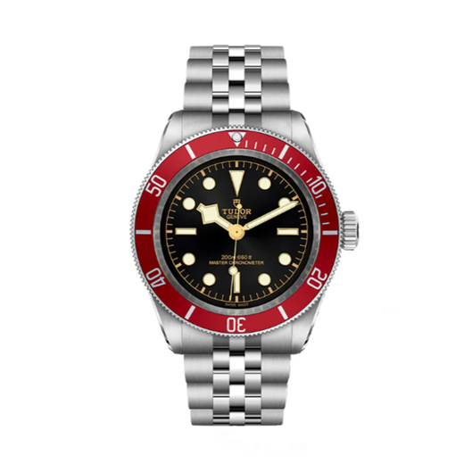 Protection for Tudor BlackBay 41mm M7941A1