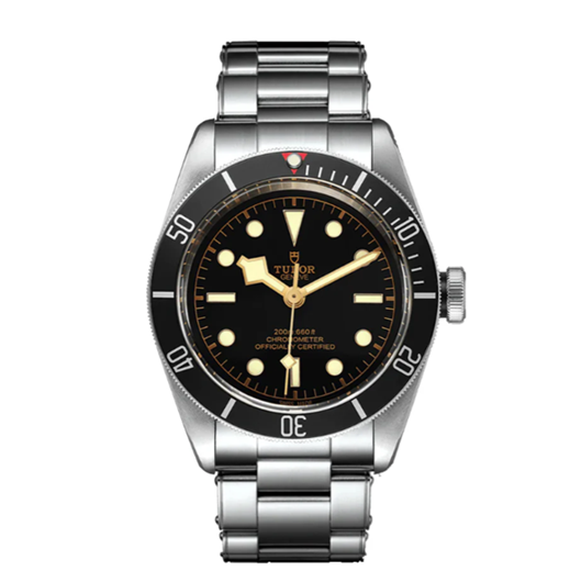 Protection for Tudor BlackBay 58 39mm
