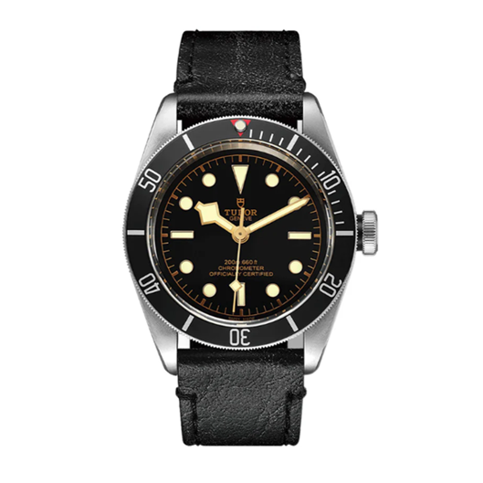 Protection for Tudor BlackBay 58 41mm
