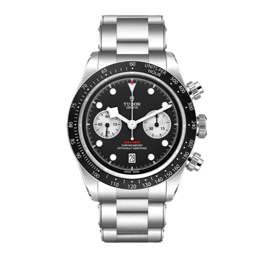 Protection for Tudor BlackBay Chrono